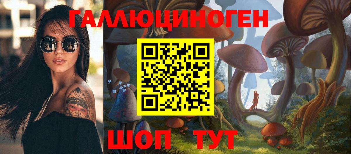 Галлюциногенные грибы ЛСД  Галлюциногенные грибы Psilocybine cubensis  Вход с VPN  Шадринск 